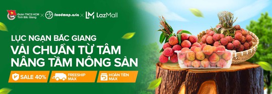Dự kiến 50 tấn vải thiều sẽ được bán ra trên Lazada
