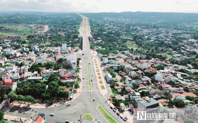Đan Lê như 'thần tiên tỷ tỷ' khi cắm hoa, tiết lộ cách cắm lại hoa từ những bó được tặng